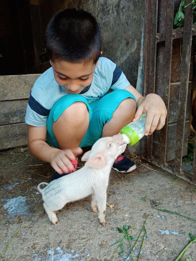 Morrovalle Agriturismo Il Casale מראה חיצוני תמונה