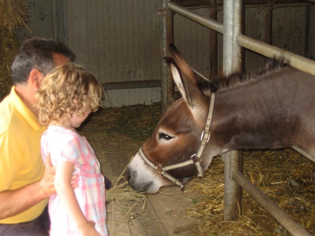 Morrovalle Agriturismo Il Casale מראה חיצוני תמונה