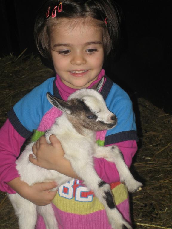 Morrovalle Agriturismo Il Casale מראה חיצוני תמונה